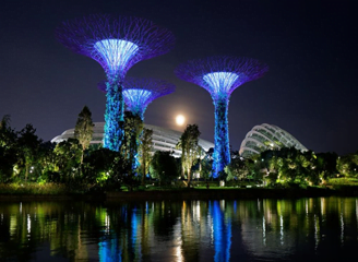garden by the bay night view